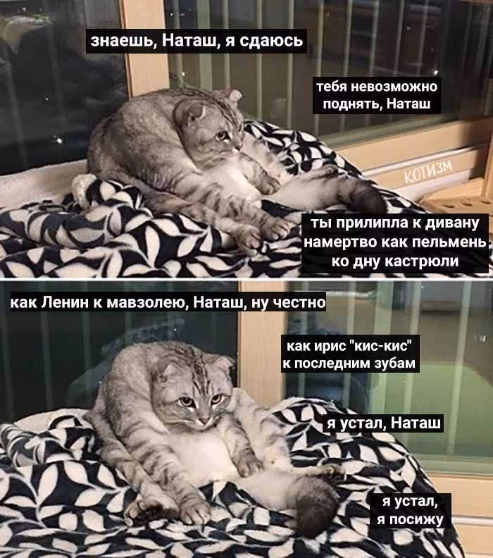 9a69054ef4b0a9d96d7f3afd62079936.jpg