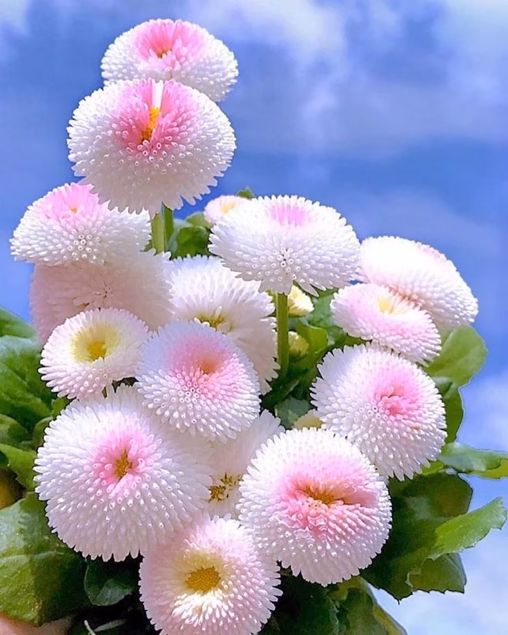 9a6e44fbd60c95560ababff0a754be7d.jpg