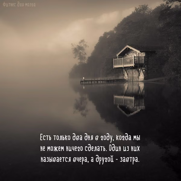 9a71cb67ddb8b8cdb9810066ae589bba.jpg