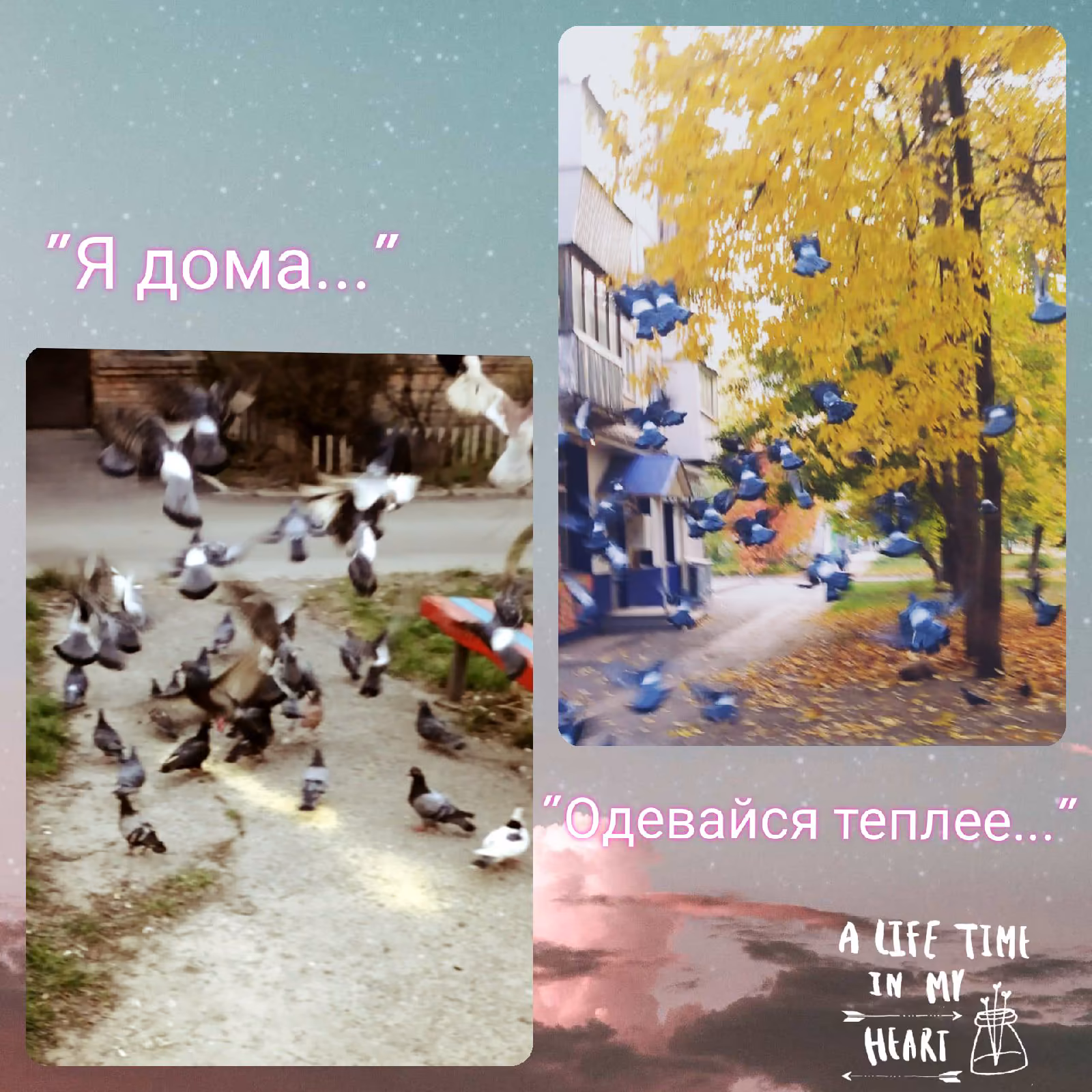 9a7923804a4f73fd5b969b6e3f68387b.avif