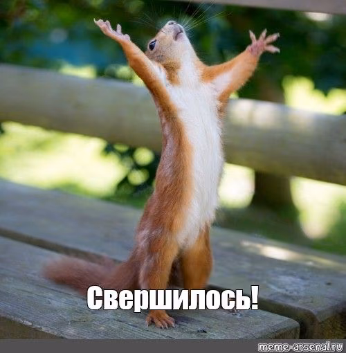 9a7ede379108a857fae63c21e908f855.avif