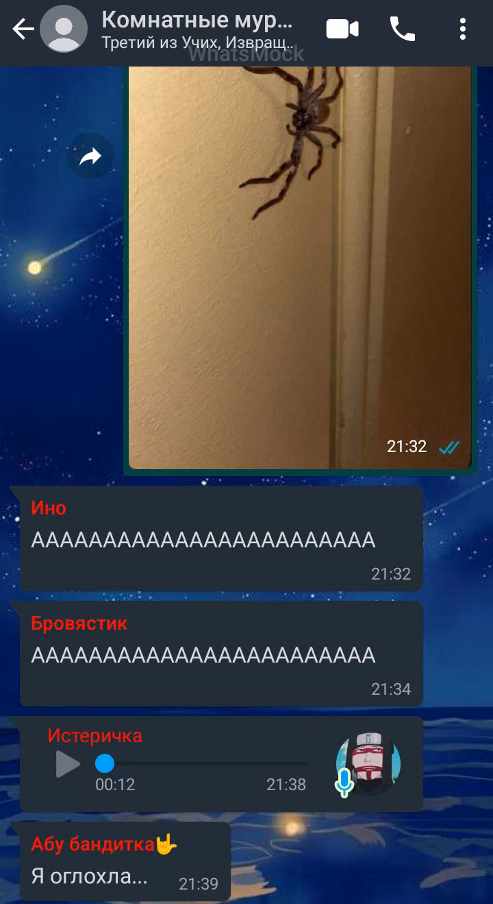 9a801dafb1b7d136d02d20a9da81fcaa.avif