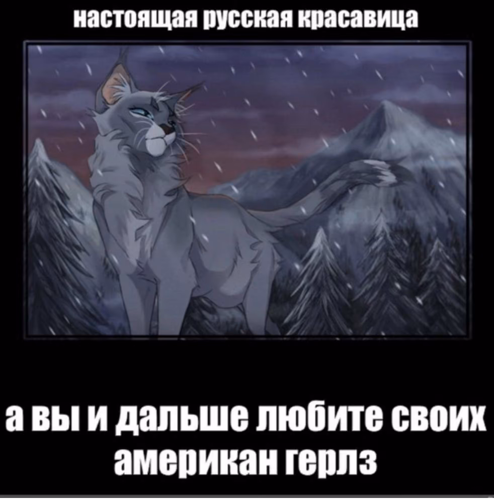 9a9eb9522a332843409943eeb7b39f5e.avif