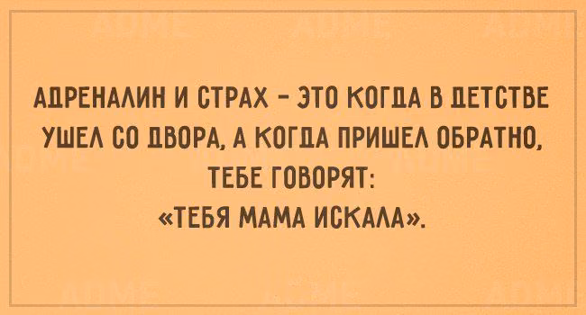 9a9f9692f551bec1977839d2eaf423af.avif
