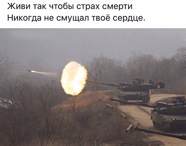 9ab2161b10a5e69fc1da5b8457e36b0b.avif