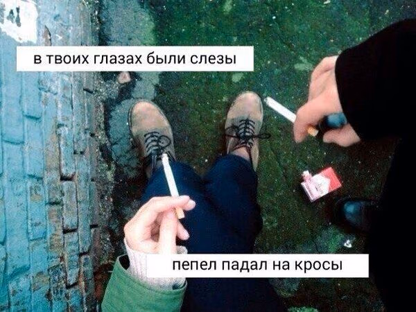 9ab7a64f6ad29a42b3f1adfc4791e76e.avif