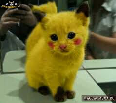 9ab815d4ea247bd2c2fc6fb34c1c881c.jpg