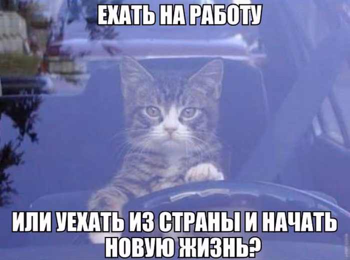 9ac7253eda2f0b7928be37dbaeb8c28c.jpg