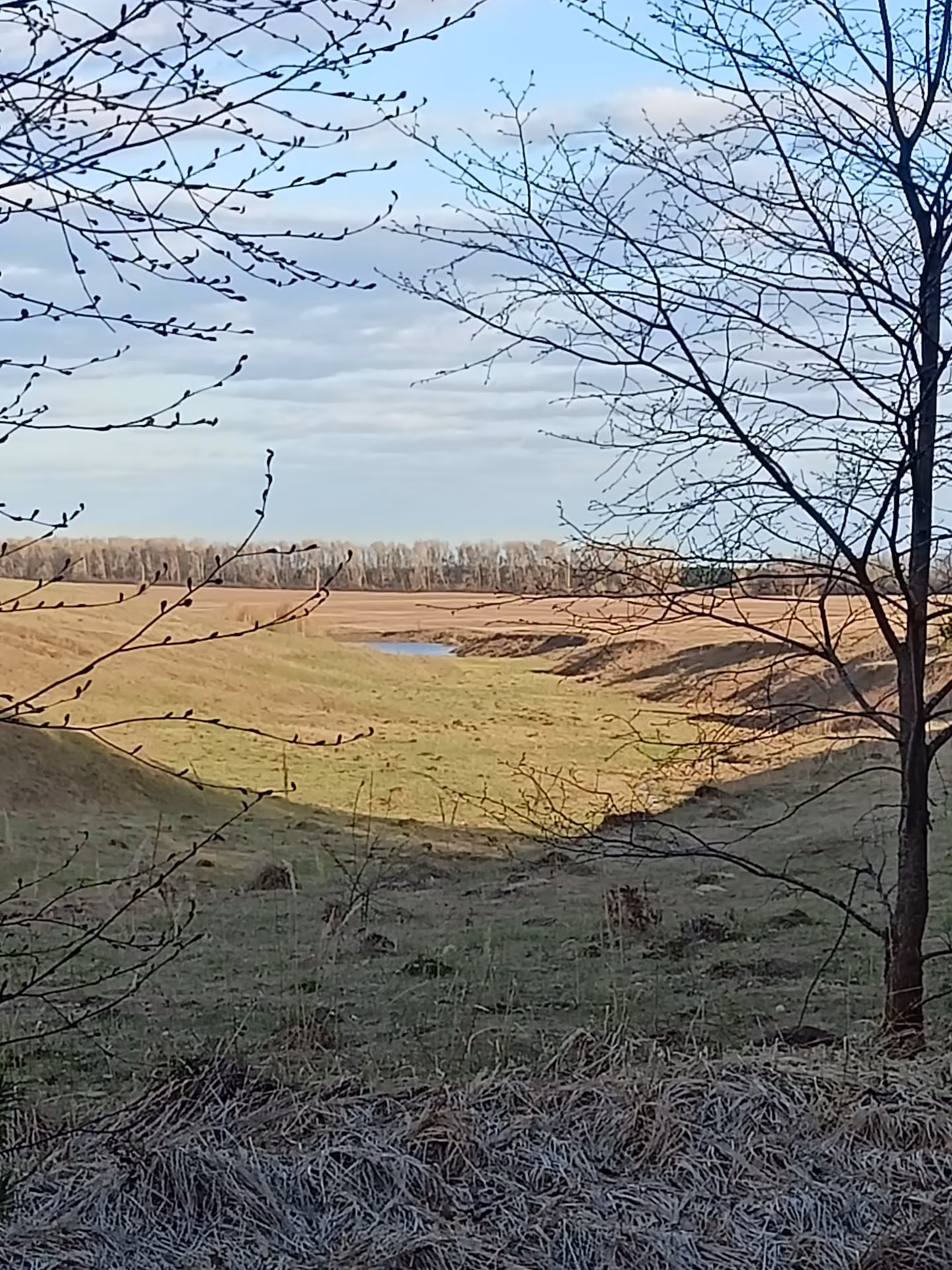 9ac804350e2dcf80101878c506c2d825.jpg