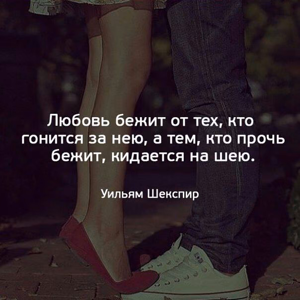 9ac833029247e26557055c51534d172d.jpg