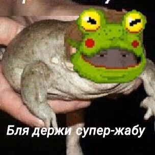 9acc857bc6f384ceaa4b72adb4f76918.jpg