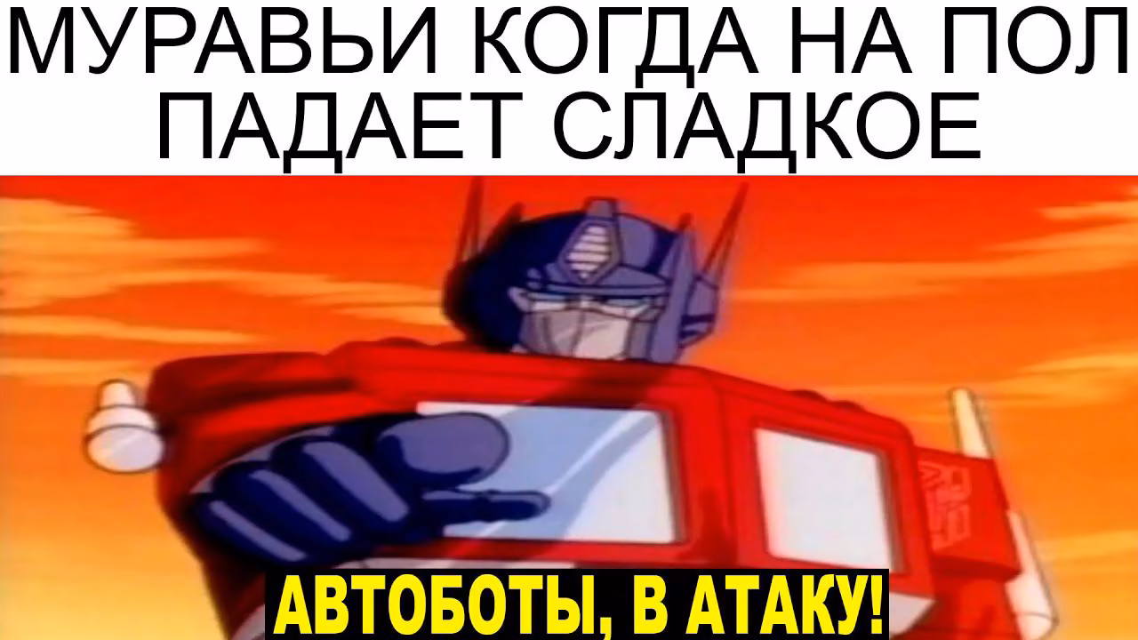 9acc881428dd210f979b1f8db23ec6ed.avif