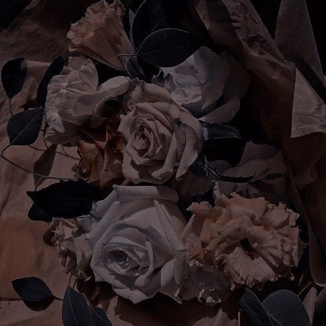9ad38ddaba61e87cbdaf2ccab7108477.jpg