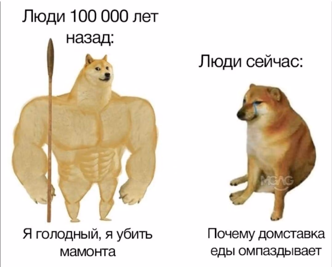9ad3a9082db1a110117ac85d1852ab2c.avif
