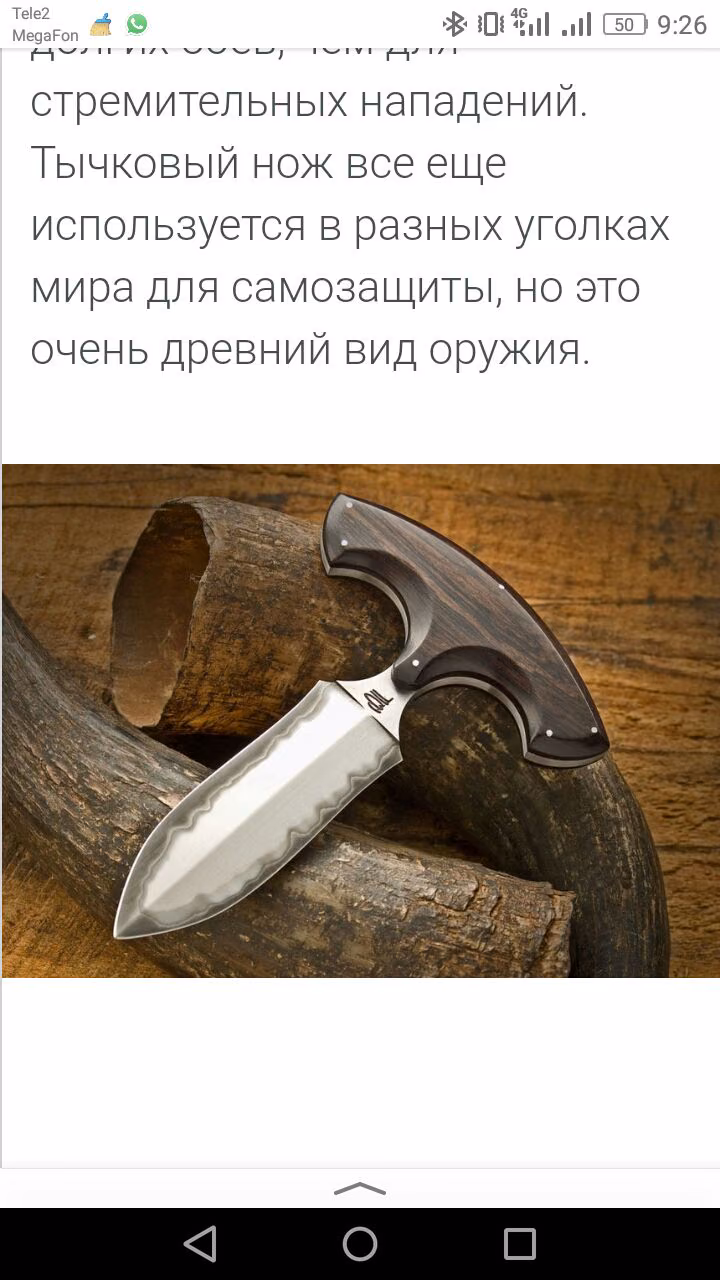 9b050795c2c15e2db800103e26e89d74.avif
