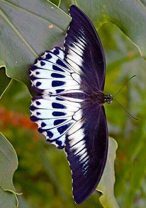 9b09dd9673018b3328f29ac4455ea642.avif