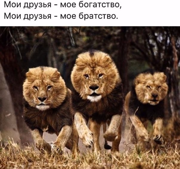 9b0d6e1fe15591d3650c7aab148c2644.avif