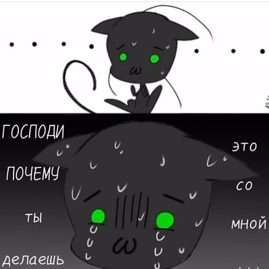 9b0f267f0f418afc6da2c3fc9fbbd409.jpg