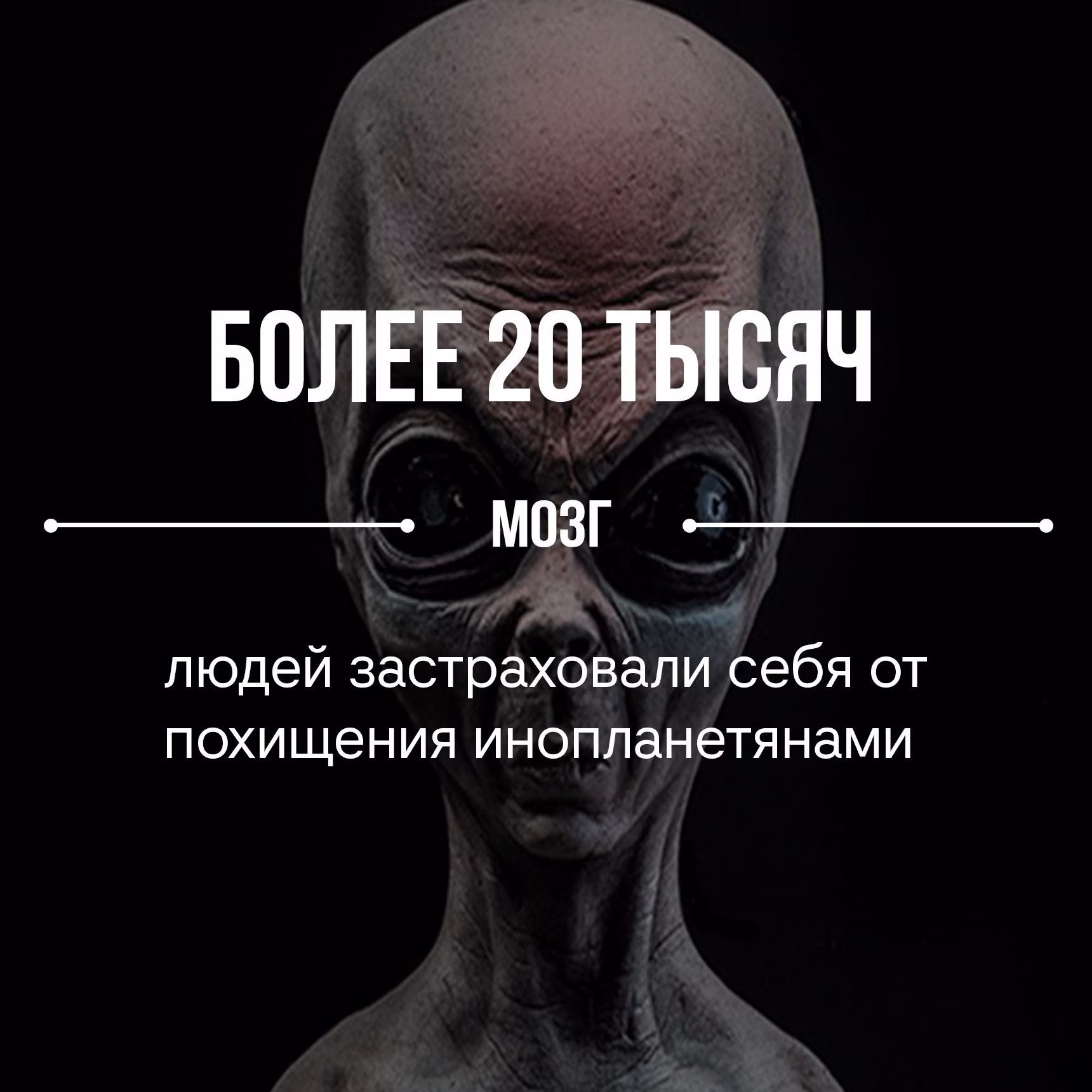 9b11119aa987d2fe23f810a734174521.jpg