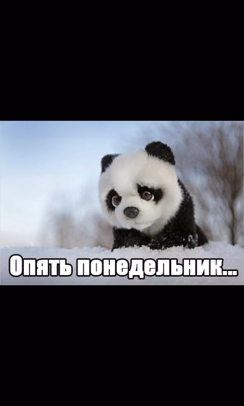 9b1aae941c33cfcee0f188795a878db1.avif