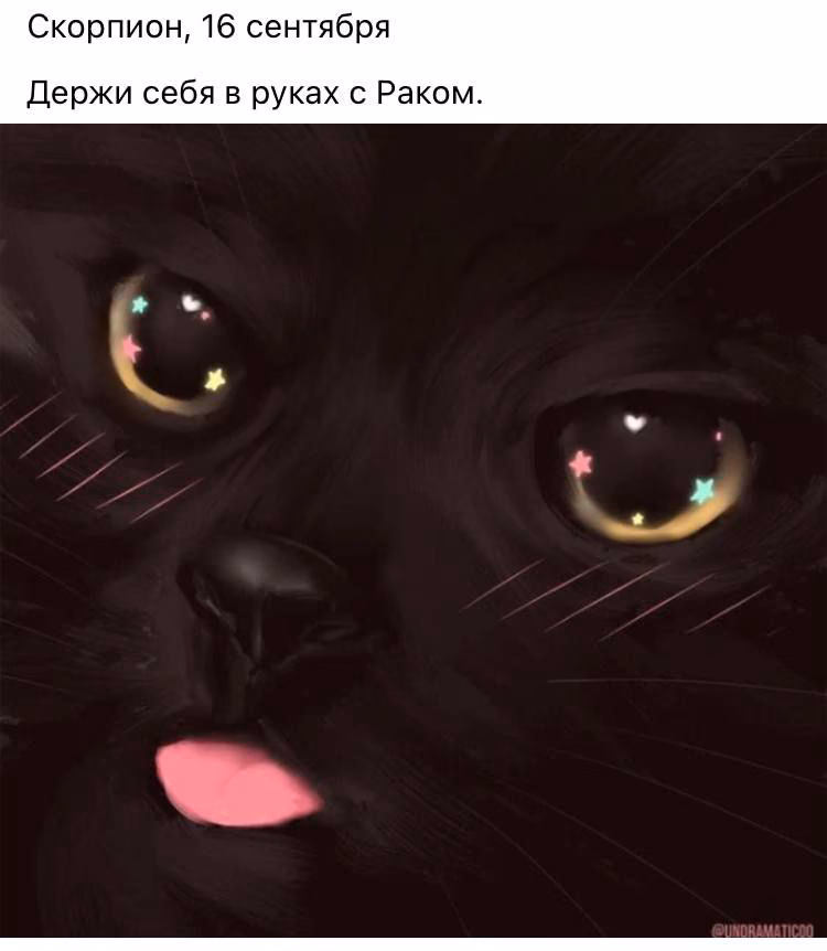9b25463fcfcb75ea5beb72ea24f495cf.jpg