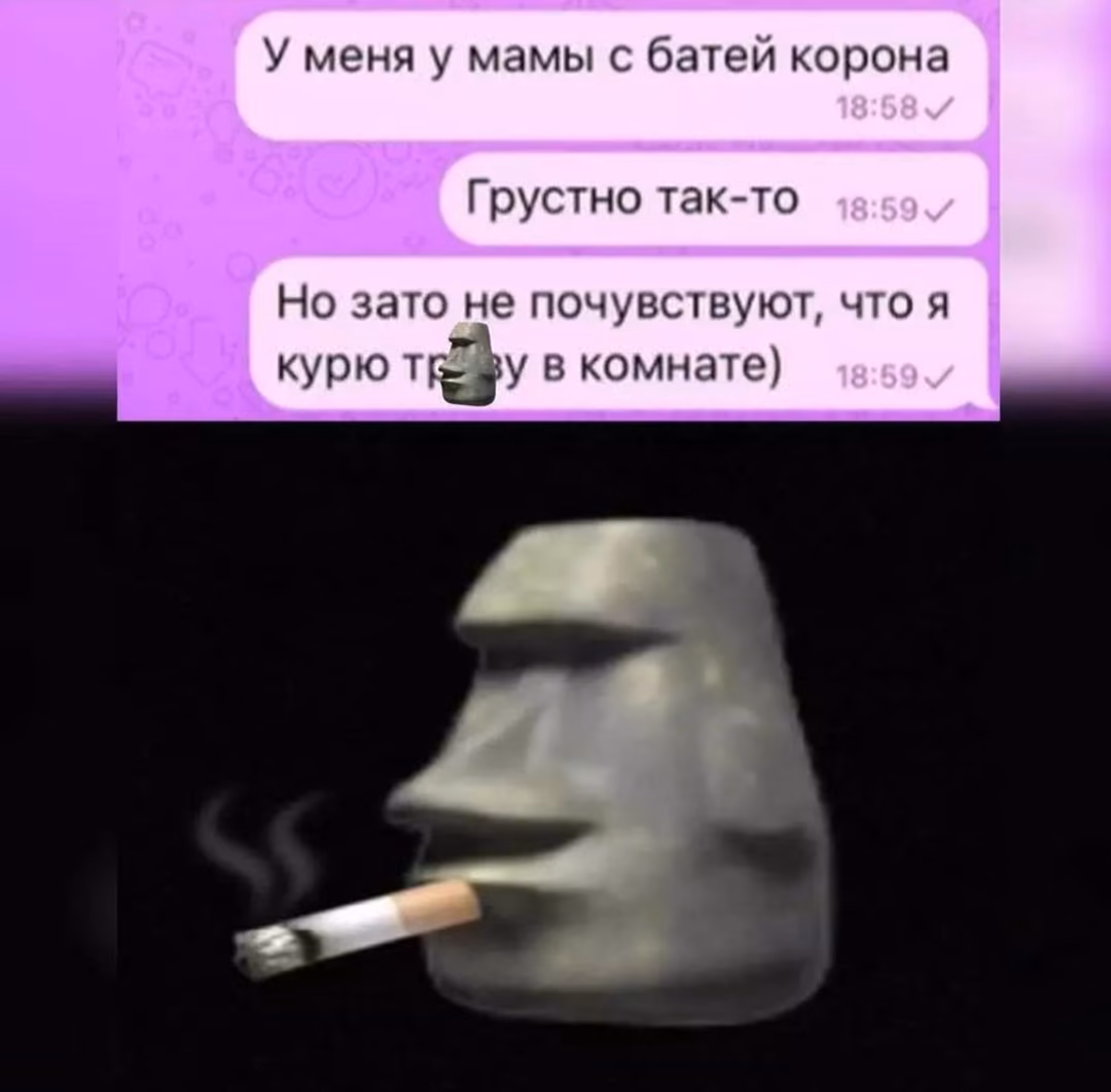 9b272f9cde8dc28f7b776caf157a867e.avif