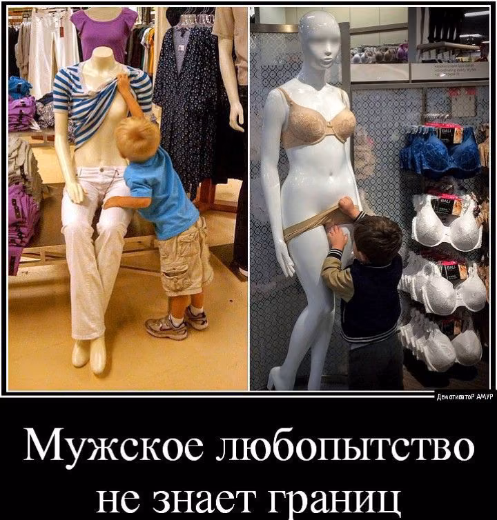 9b2f042a236c446b5ebf2663fa529ed7.jpg