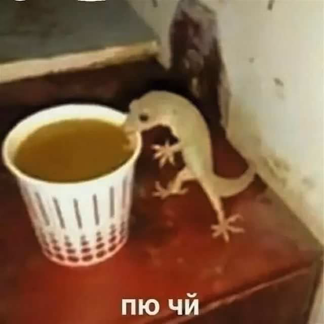 9b322a383b9d901a49c8881a0f67c015.jpg