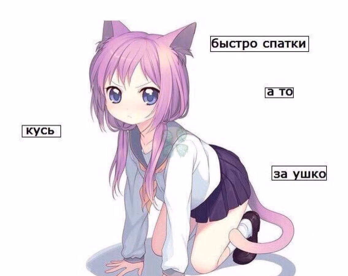 9b41d44c84ab15c3d5efd60c3249e833.avif