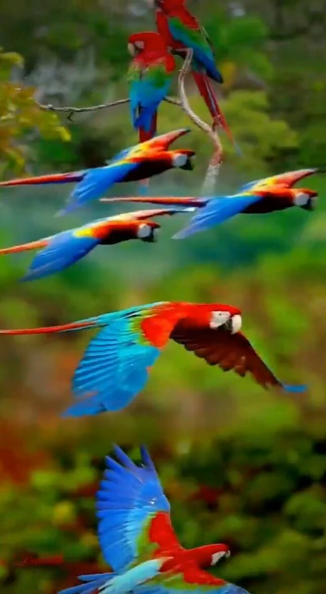 9b4262892634a3056d348d7d7d34703c.avif