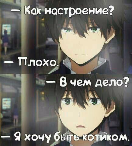 9b445dccfb8c790e1b78cd2250b85a22.jpg