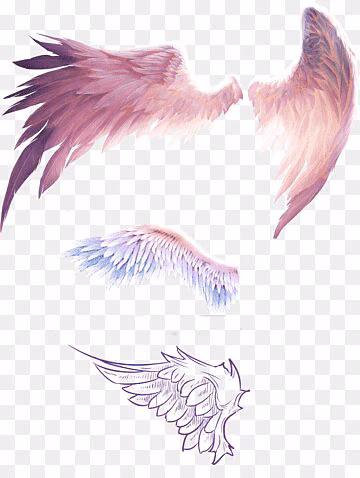 9b59964480b911a79eb5f19f29667314.avif