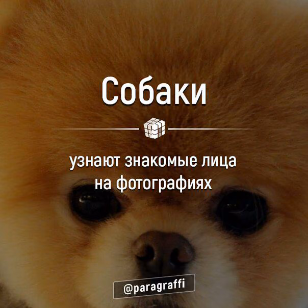 9b81631100319e24a86b4c0e3f42c710.avif