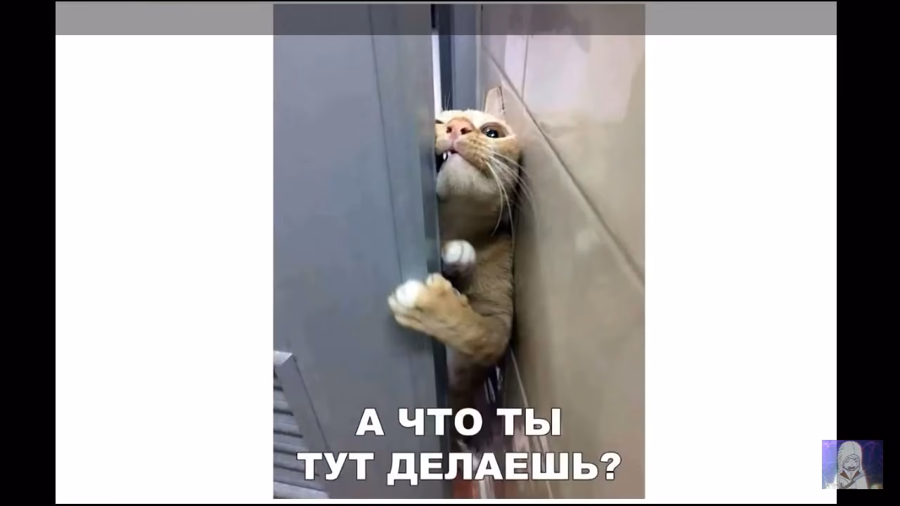 9b8c814bd0534a52cca14bf99c2963e6.jpg