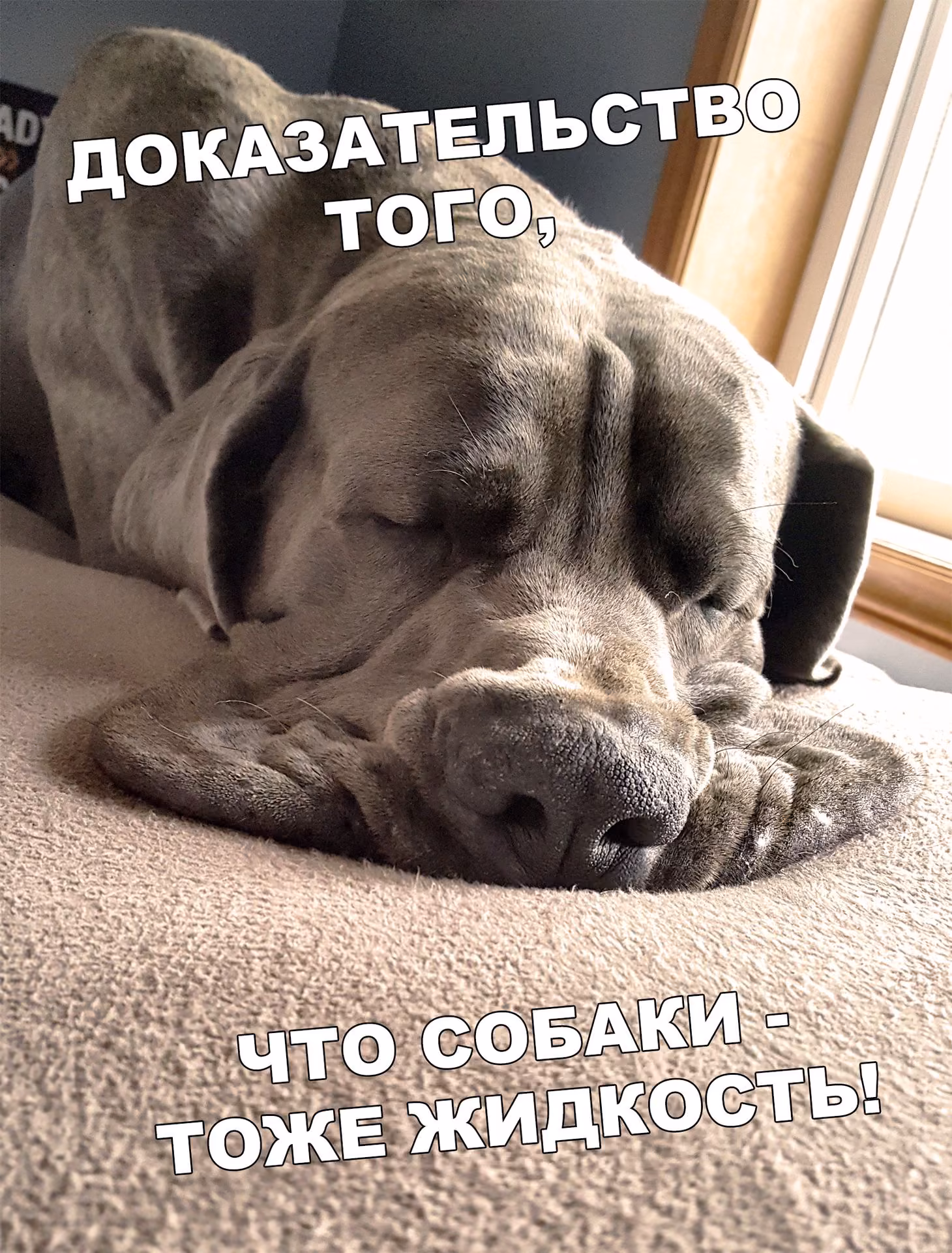 9b90f1f092cc5ebbfe358977b0df15f0.jpg