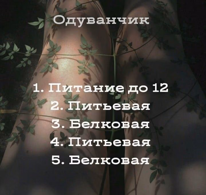 9b988ac129a96ef09e3ca61ebb42d572.jpg