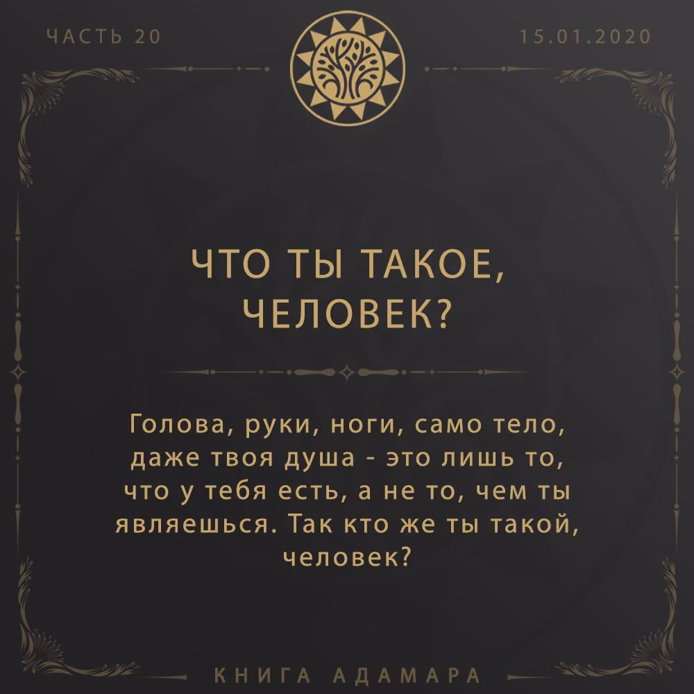 9ba45156c4709a94b59db10b3731c888.avif