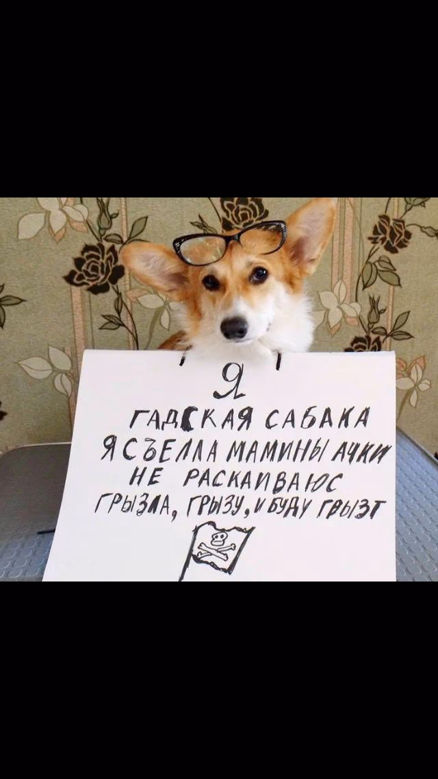 9ba668606fbbada200ae7afe6224712b.jpg