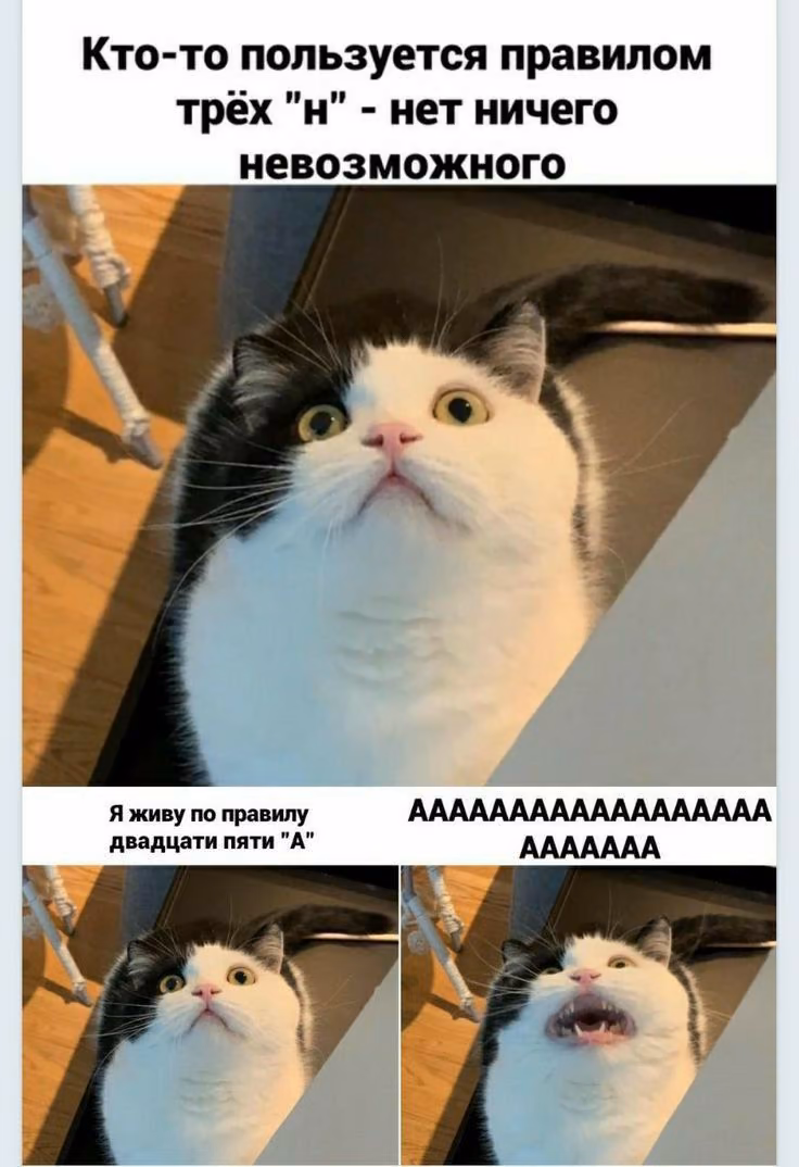 9ba98048351f942c2c03e4f4361ac96a.avif
