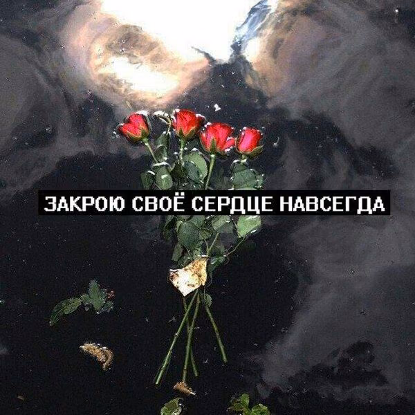 9bab65c4163a6ef2ad7b4ce8d48be311.avif