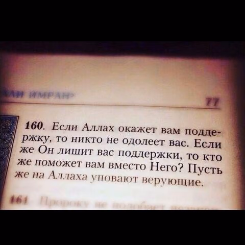 9bb4b23d84a85a0a83e000c3a87f67d7.avif