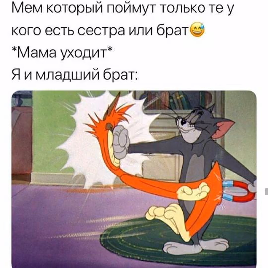 9bbefd247af228f86fed67bd88fe7aaa.avif