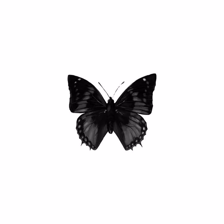 9bc3d669fa03b1794aa7c2769032f591.avif