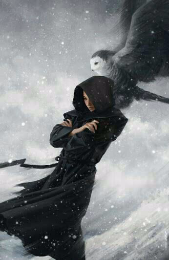 9bd6c4bd14b5caf81d14a5f0785e472b.avif