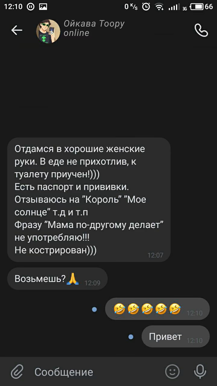 9be23cbb4c4016f8c47195e44582e551.avif