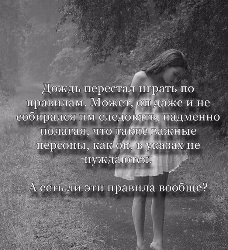 9be55dd1289a4458033c9df2d2b3206c.avif