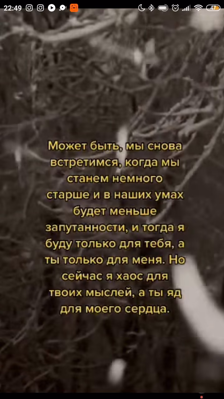 9beac6a277d2c650139dcc99a1d218e5.jpg