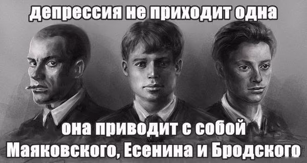 9beb46caba89e4637e70c7fa2f6e3527.avif