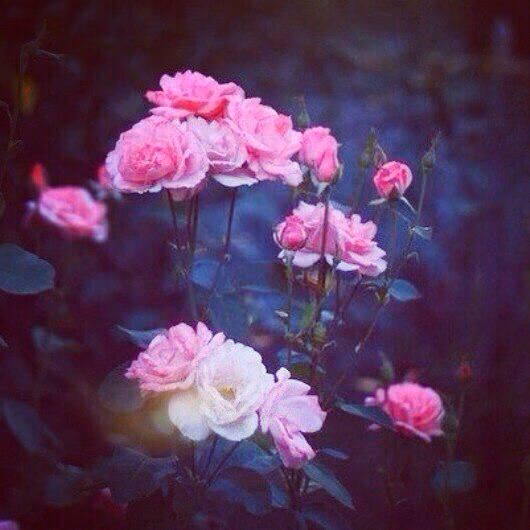 9bf78616a01cd87c48965931db14e8a2.avif