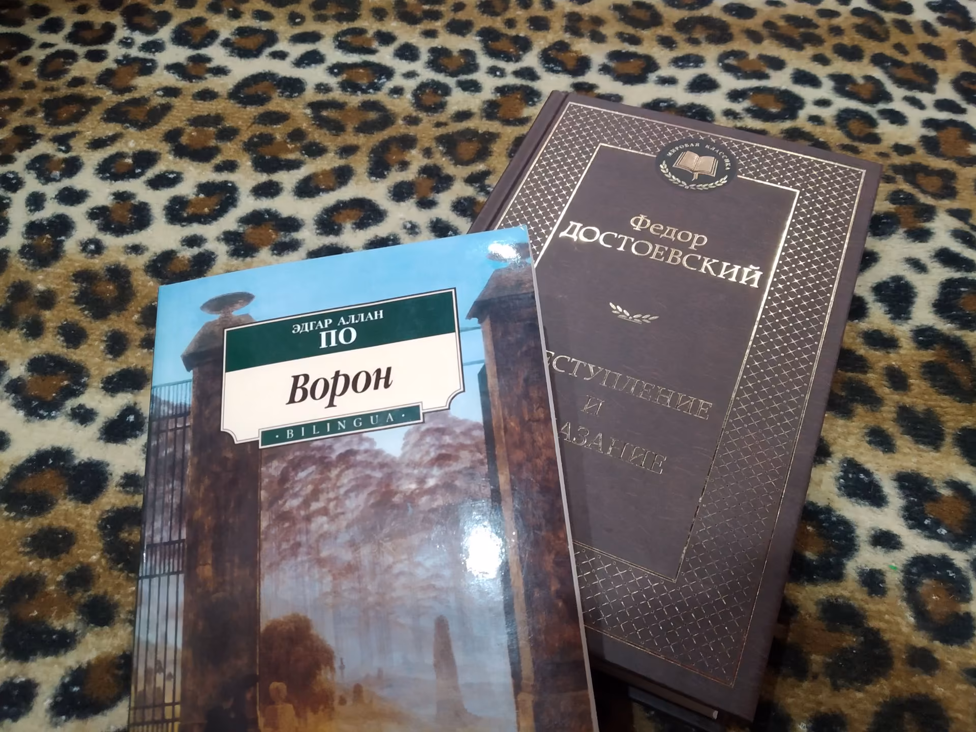 9c01b6500d2b7b44cd6d4ee6e3a448ce.avif